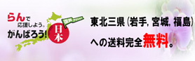 東北三県送料無料